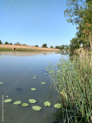 landscape with lake and blue sky