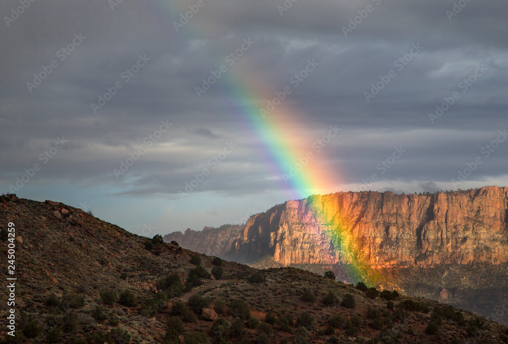 Zion Rainbow