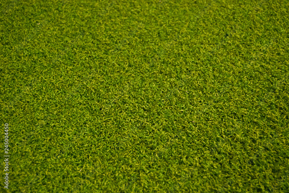 Fototapeta premium Sztuczna trawa, murawa na siłowni