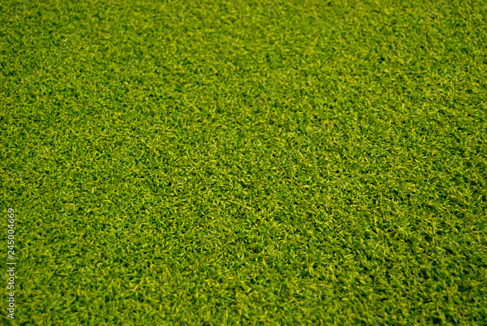 Sztuczna trawa, murawa na siłowni Stock Photo | Adobe Stock