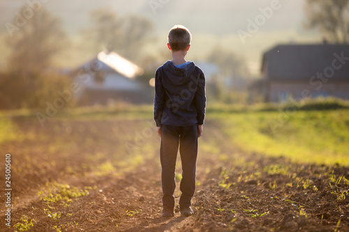 Bild auf Leinwand Back view of young blond child boy standing alone on field after harvest on late summer or autumn sunny day on distant foggy blurred blue panorama of small houses among green trees background