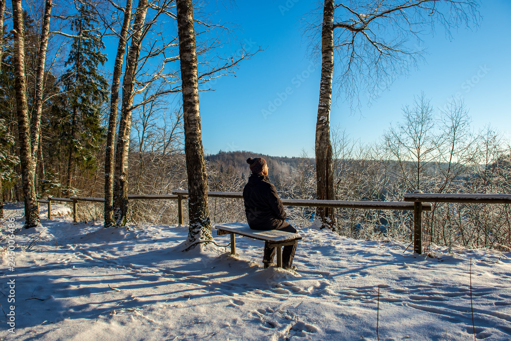 Fototapeta premium sun rising in heavy snow covered forest