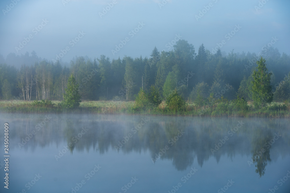 misty morning by the lake