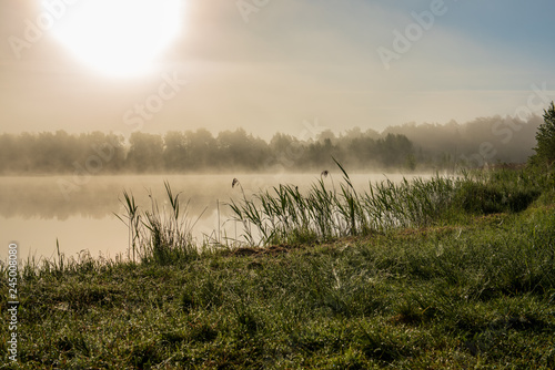 misty morning by the lake