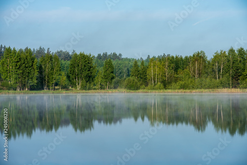 misty morning by the lake