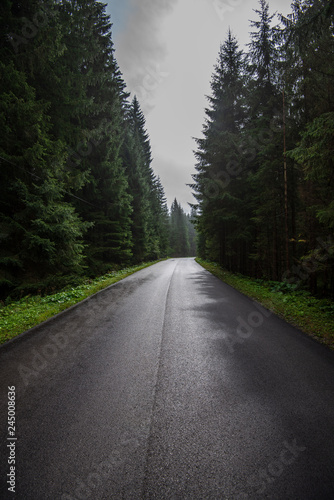 wavy asphalt road in mountain area in forest