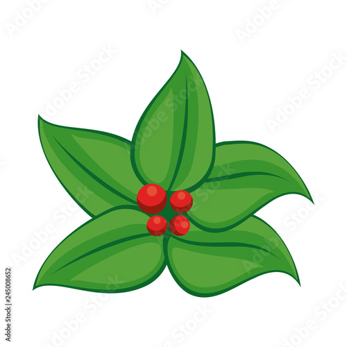 Beautiful flowers isolated