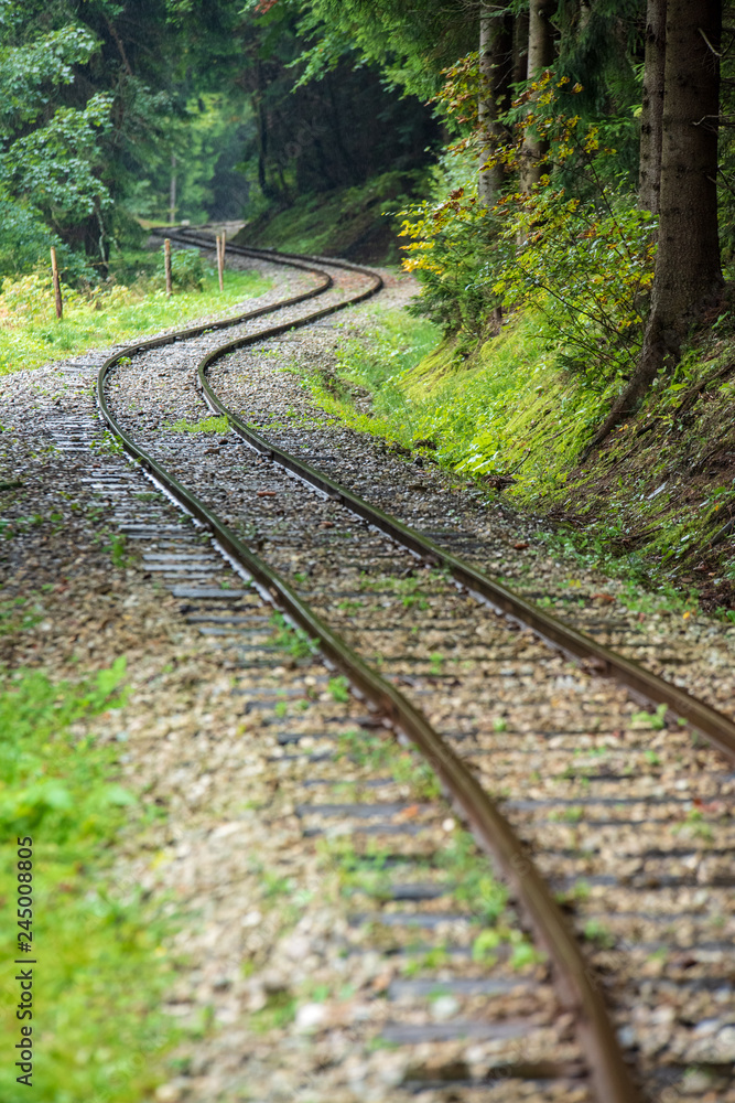 wavy log railway tracks in wet green forest with fresh meadows wavy log railway tracks in wet green forest with fresh meadows