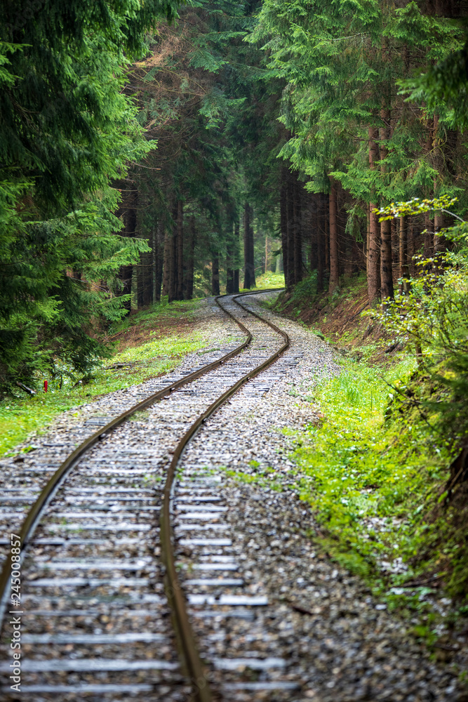 wavy log railway tracks in wet green forest with fresh meadows wavy log railway tracks in wet green forest with fresh meadows