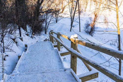 Wallpaper Mural Snowy Photo of the Park on a Sunny Winter day - Wooden Footpath in the Middle of it, Concept of the Harmony and Travel Torontodigital.ca