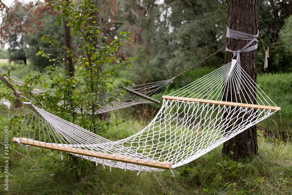 Two hammocks are tied to trees in the forest. Outdoor activities. Hammock in the pine forest. Stock Photo Adobe Stock