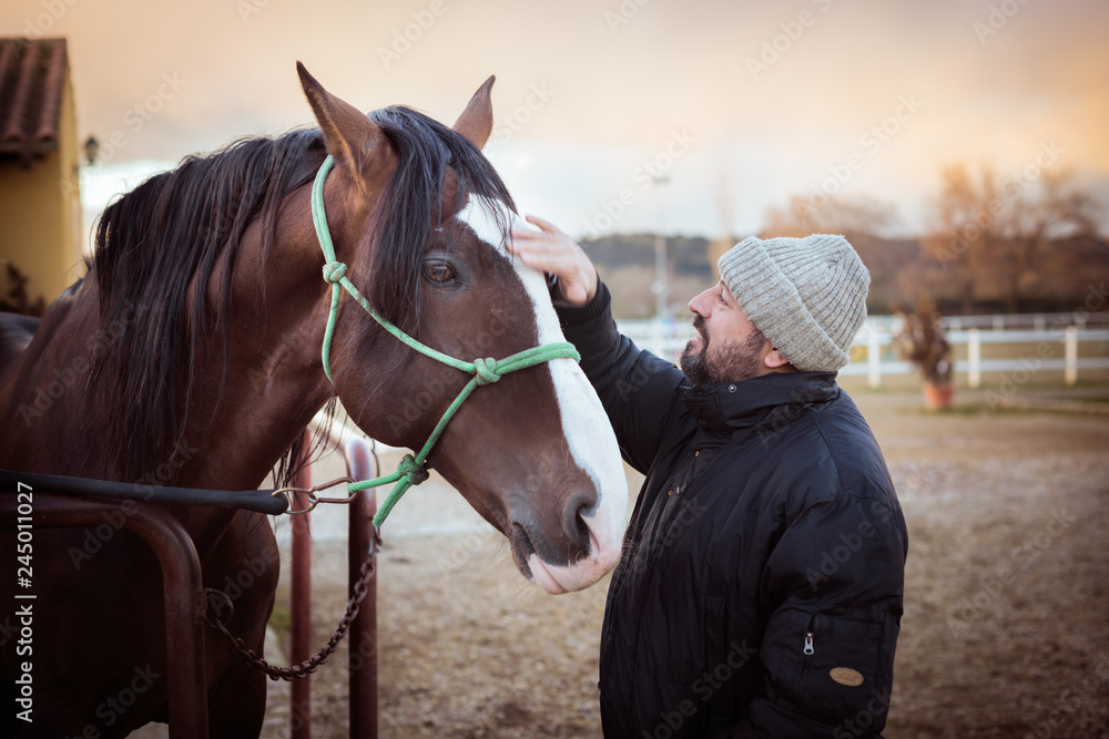 Man caressing a horse. Love for horses Man caressing a horse. Love for horses