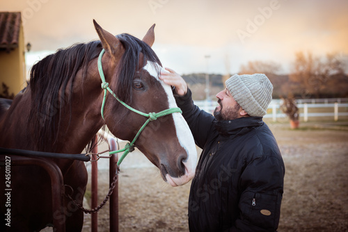 Man caressing a horse. Love for horses