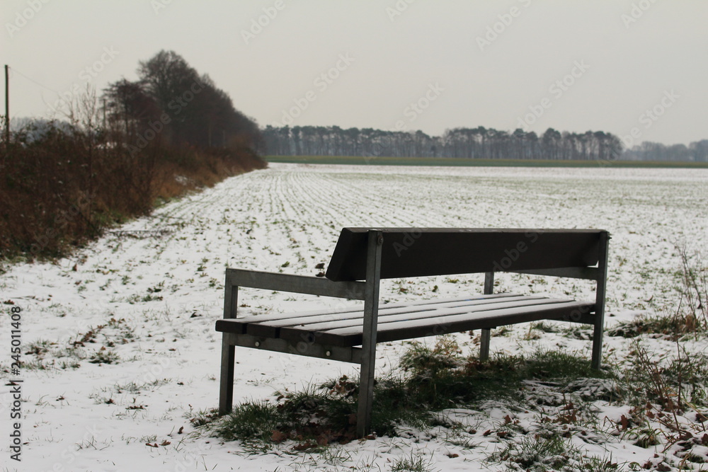 Schneelandschaft