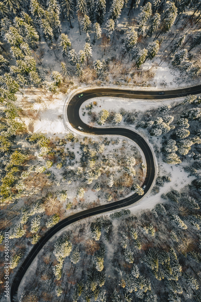 Drone road in the middle of the forest