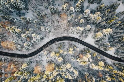 Winter road surrounded by trees covered in snow