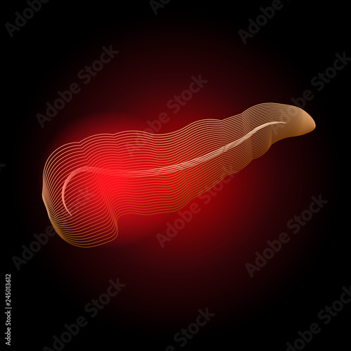 Medical illustration of pancreatic diseases with a point of pain , stylization of lines. Pancreatitis X-ray effect