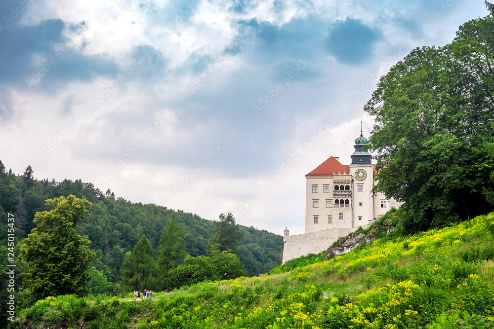 Summer landscape with Royal Castle in Pieskowa Scala, Krakow, Poland Summer landscape with Royal Castle in Pieskowa Scala, Krakow, Poland