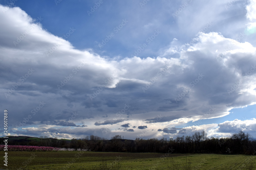 Fototapeta premium Blue sky with clouds
