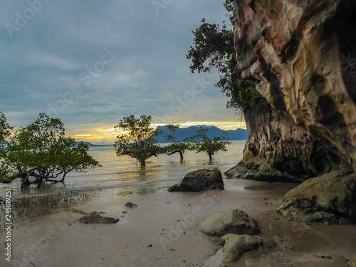 Trees swallowed by the sea in Borneo, Bako National Park of Malaysia during the sunset. Yellowish sun hiding behind the island. Rocky and desolated beach vibes. 