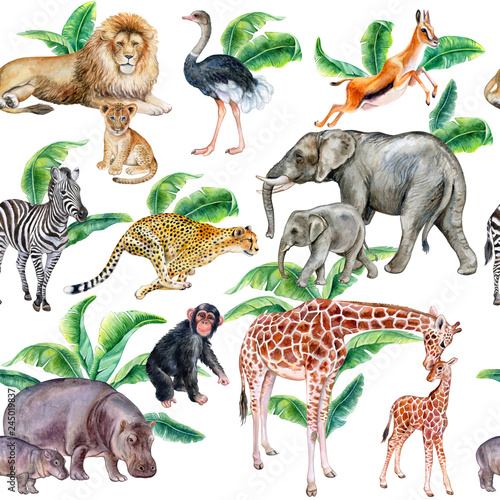 Canvas Print Set of african animals with tropical leaves isolated on white background