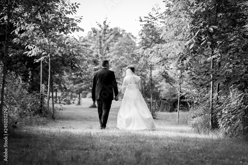 Glückliches Brautpaar beim spazieren am Hochzeitstag im Park, Wald