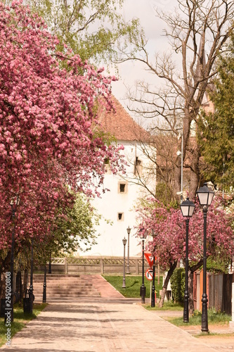 Romania,Bistritz Bistrita,Turnul Dogarilor ,coopers Tower, photo