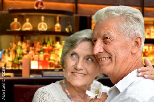 Portrait of happy senior couple posing on blurred bar interior background