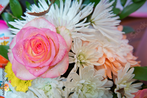 Bouquet of flowers roses gerbera flowers carnations . Roses  gerbera and other flowers arranged as a colorful natural background image with white  yellow and pink blossoms - Image