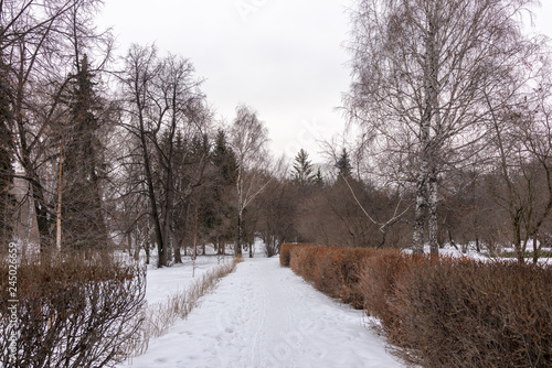 Dull Winter Park on a cloudy day