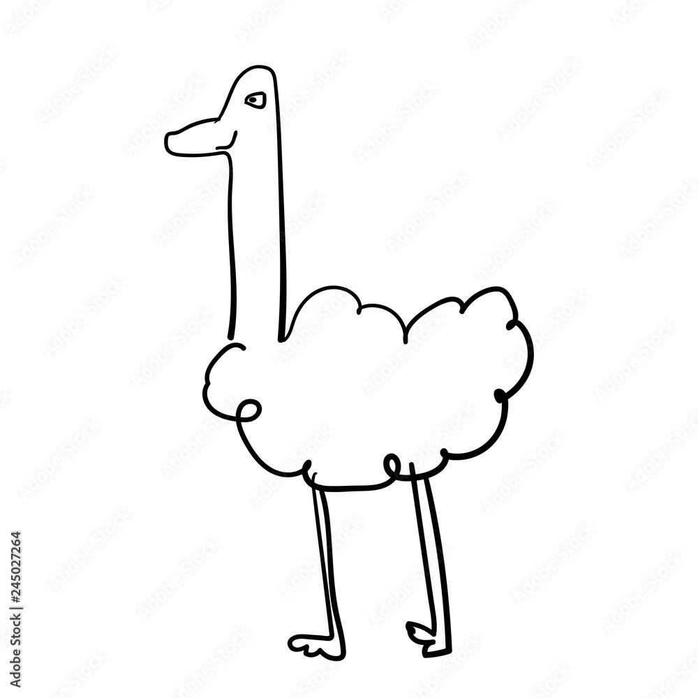 Vector hand drawn cute ostrich. Line art baby graphic funny happy bird doodle. Vector hand drawn cute ostrich. Line art baby graphic funny happy bird doodle.