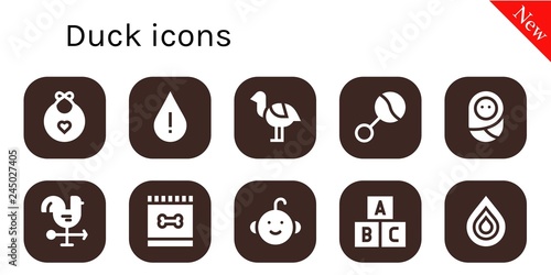  duck icon set photo