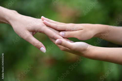 Portrait of hands held together on a background of nature © aletia2011