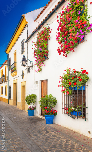 Old town of Cordoba with fl...