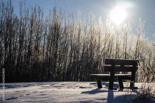 Lone wooden bench sitting amidst a layer of white fluffy snow beneath bright skies