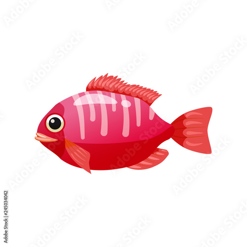 Tropical exotic coral fish, bright colorful coloring, vector isolated on white background, cartoon style