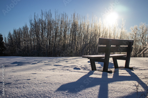 Lone wooden bench sitting amidst a layer of white fluffy snow beneath bright skies