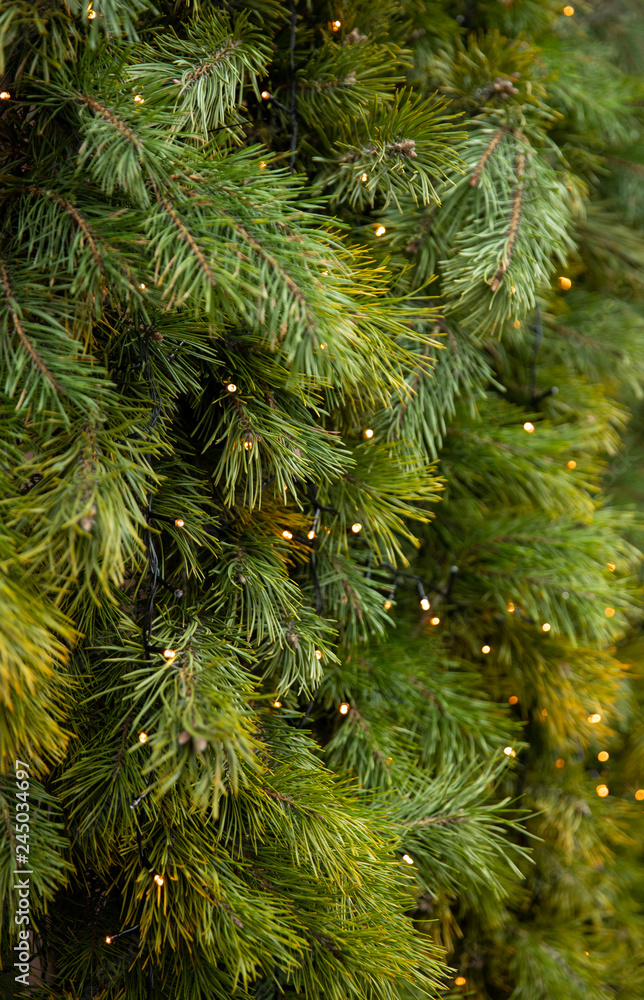 Christmas tree closeup. Christmas tree with garland. Bokeh effect on Christmas tree. Photo with colorful lights bokeh. 
