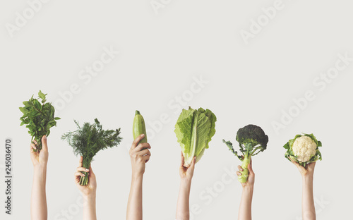 Hands holding different green vegetables on isolated background