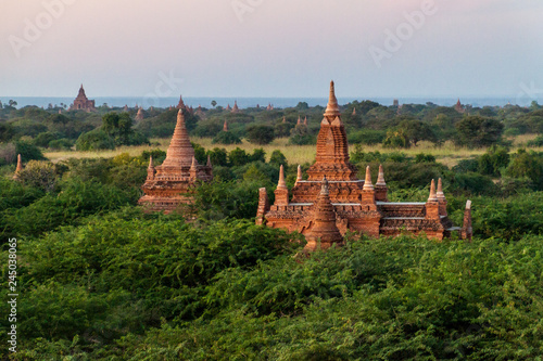 Skyline of temples in Bagan  Myanmar