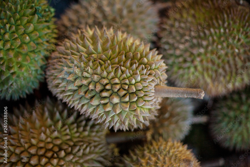 Obraz premium Durian