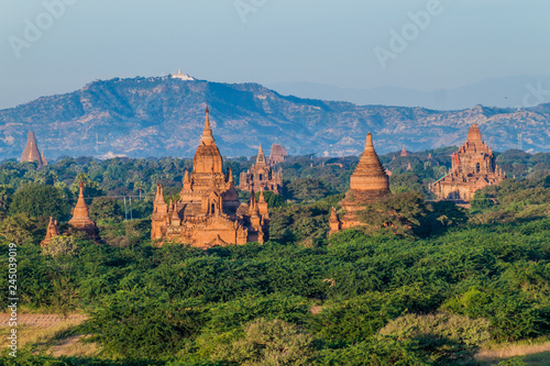 Skyline of temples in Bagan, Myanmar