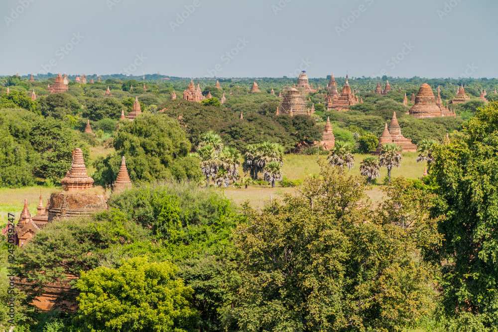 Skyline of Bagan temples, Myanmar
