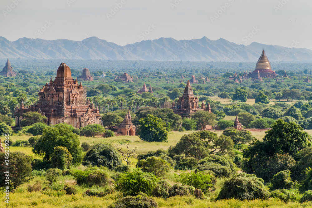Obraz premium Skyline of Bagan temples, Myanmar.