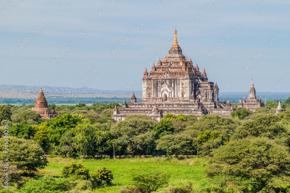 Skyline of Bagan temples, Myanmar. Thatbyinnyu Temple on the right.