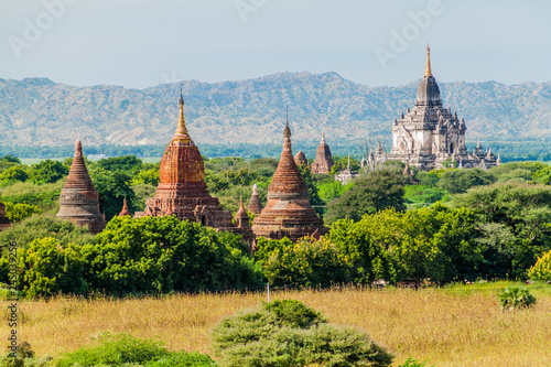 Skyline of Bagan temples, Myanmar. Gawdawpalin temple on the right side.