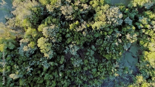 Drone flying over a river in the countryside. The forest grows on the banks of the river. The day is sunny and the sunset begins. The river separates the department of Flores and Soriano, in Uruguay. photo