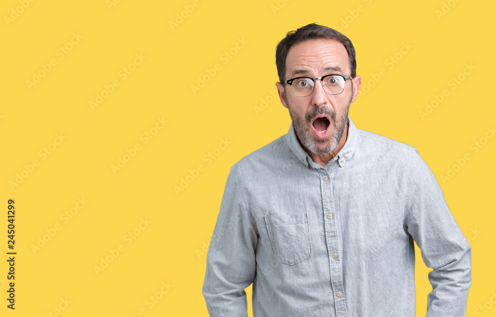 Handsome middle age elegant senior man wearing glasses over isolated background afraid and shocked with surprise expression, fear and excited face. Handsome middle age elegant senior man wearing glasses over isolated background afraid and shocked with surprise expression, fear and excited face.