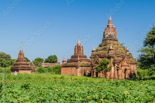 Several temples in Old Bagan, Myanmar