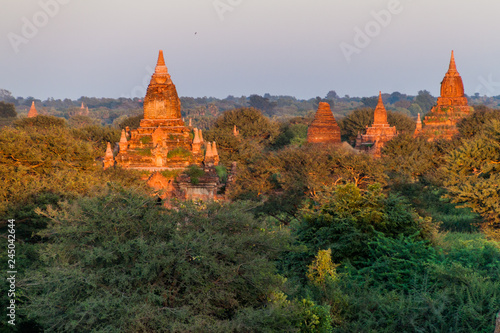Skyline of temples of Bagan  Myanmar